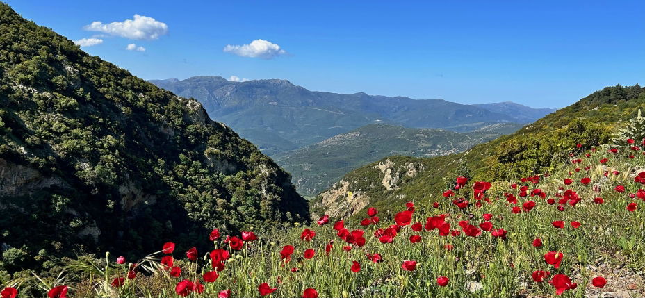 007_SGMT_On_the_first_days_walk_from_Stemnitsa_to_Dimitsana_-Adrian_Huntx.jpg